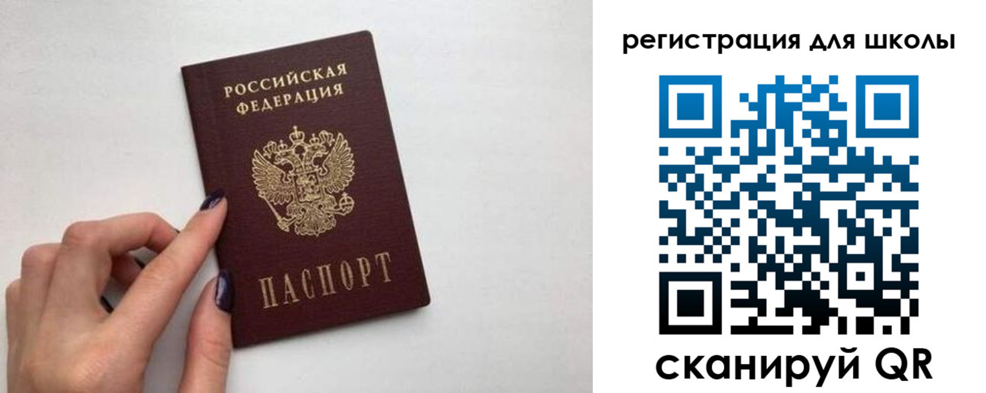 прописка поиск в Невеле